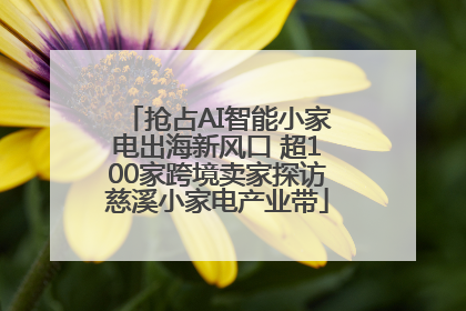 抢占AI智能小家电出海新风口 超100家跨境卖家探访慈溪小家电产业带